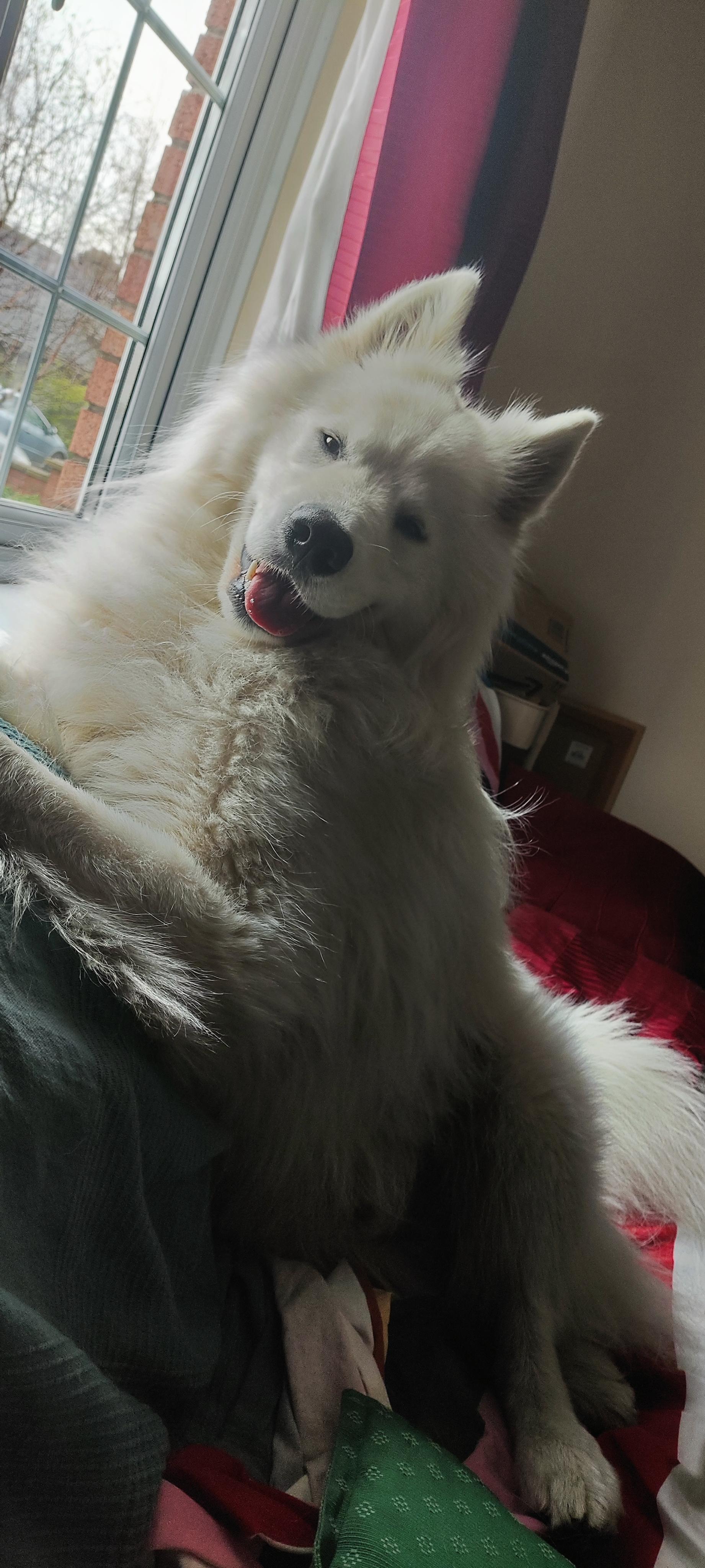 Misha