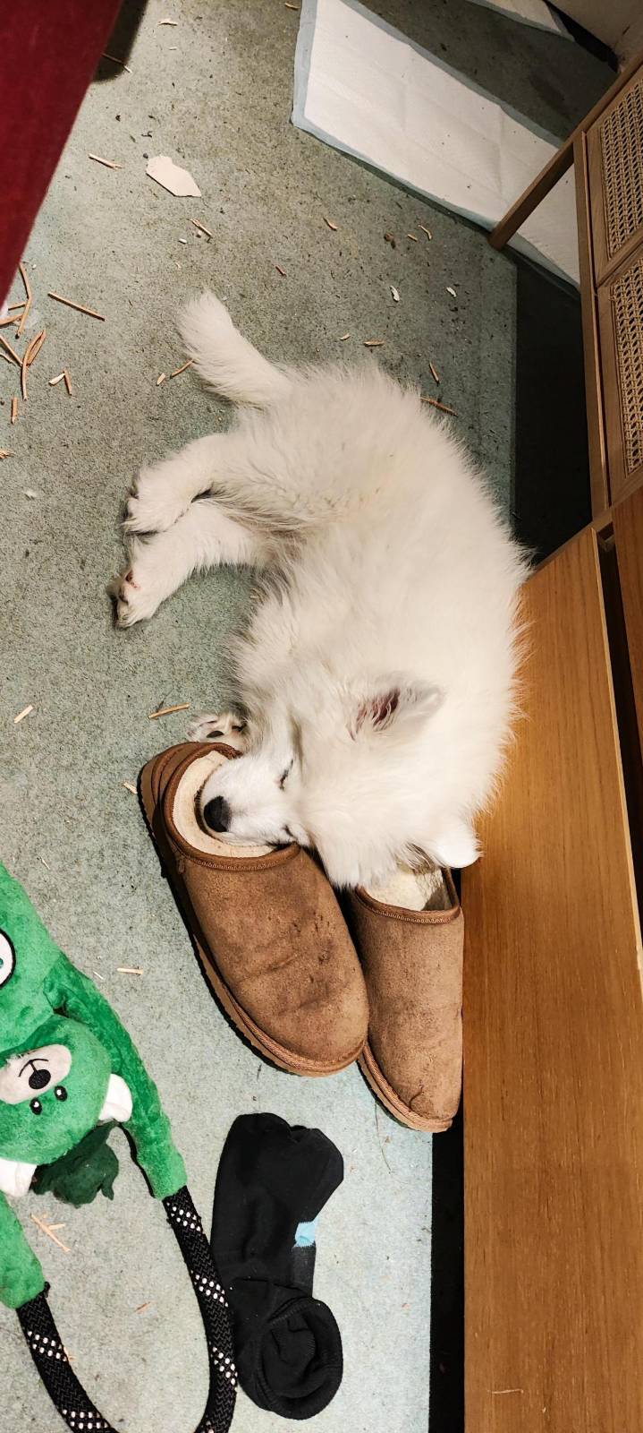 Misha