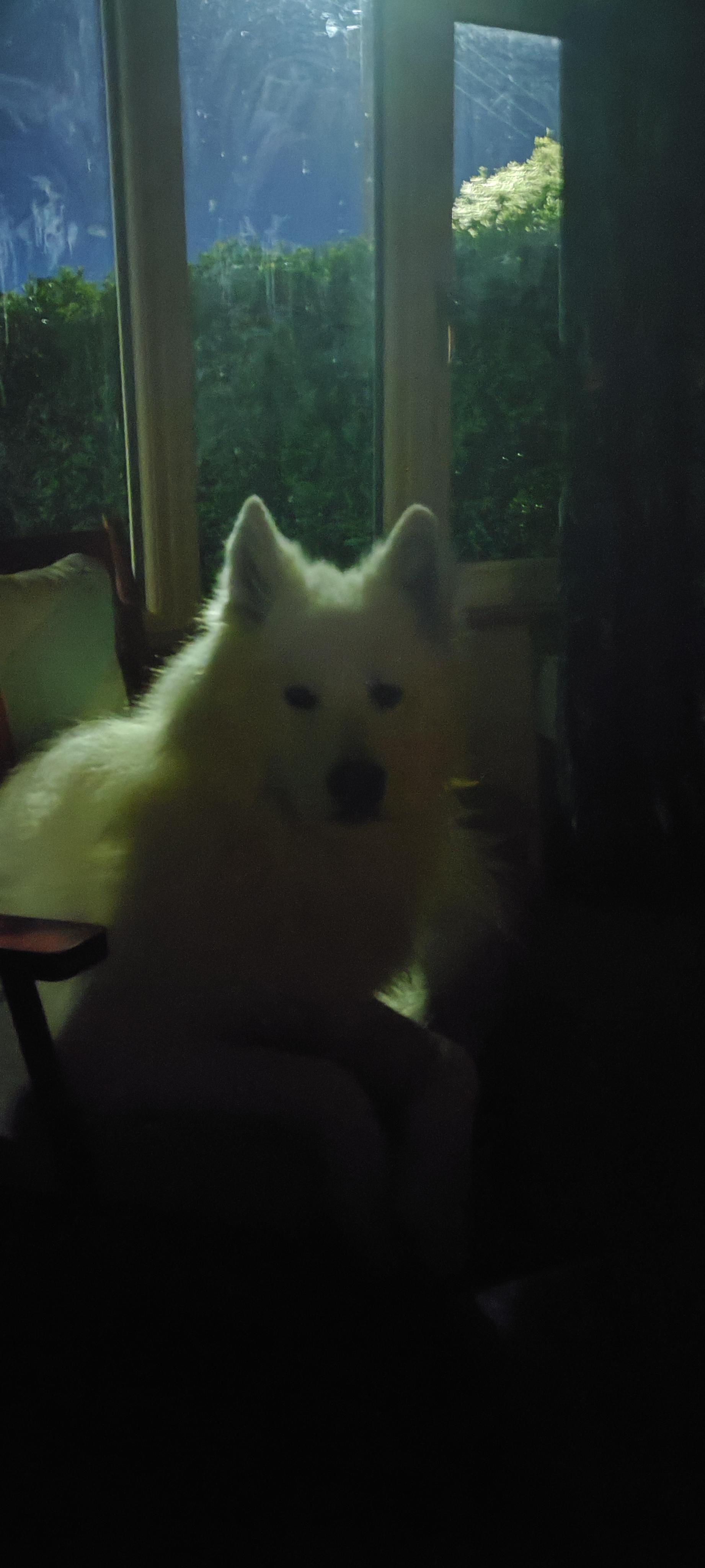 Misha