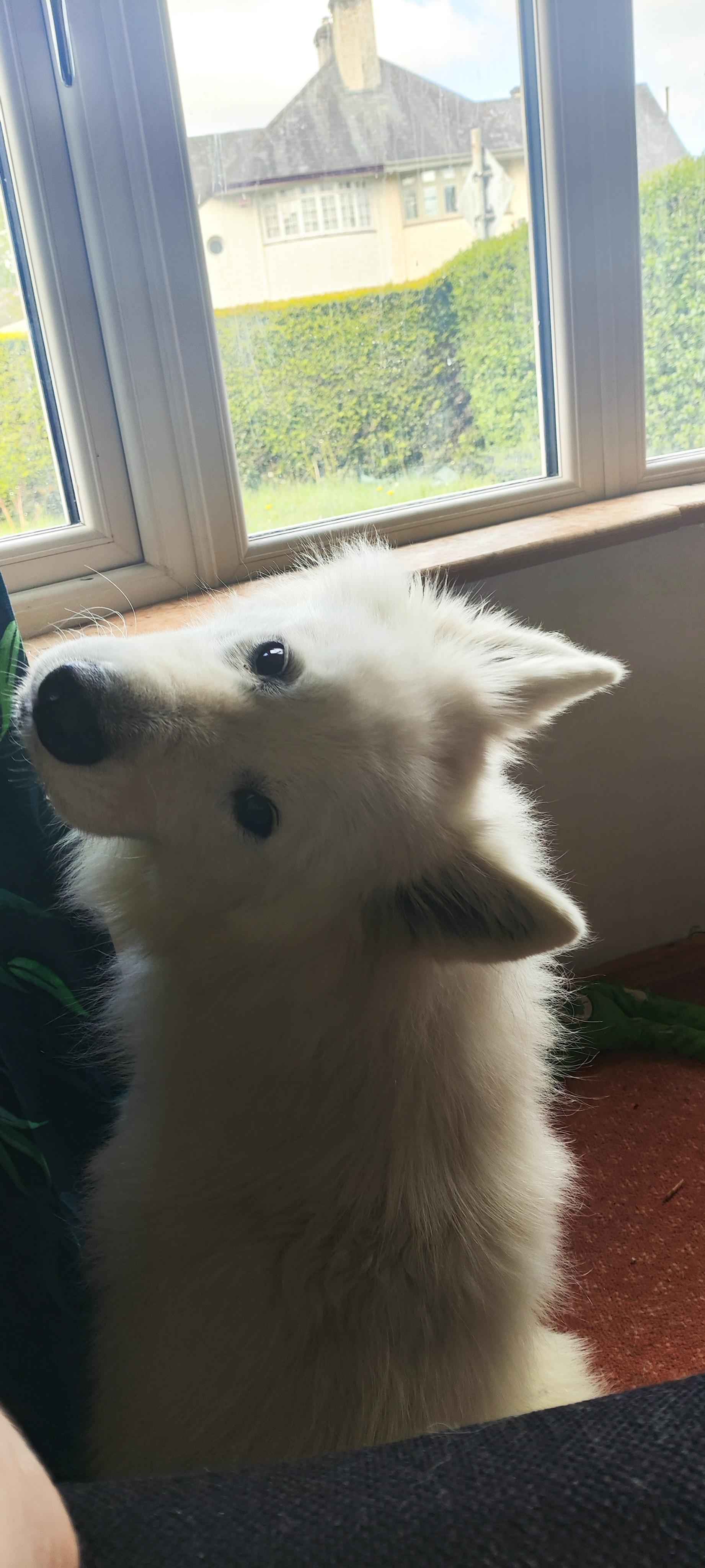 Misha